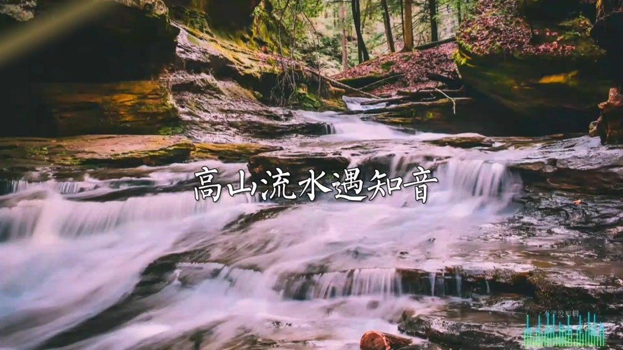 小猫钓鱼正版下载中文版
